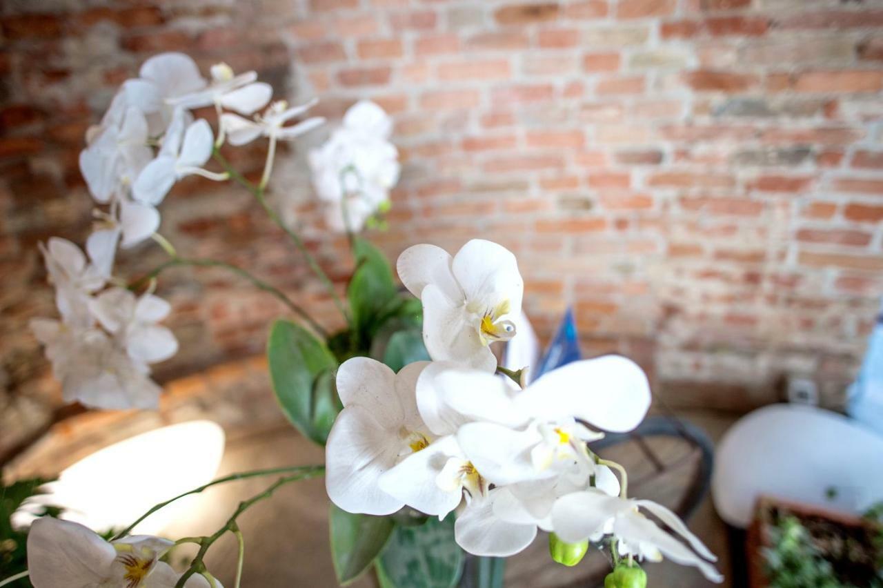 La Canonica - Charming Self-Catering Apartments In Nizza Monferrato Zewnętrze zdjęcie